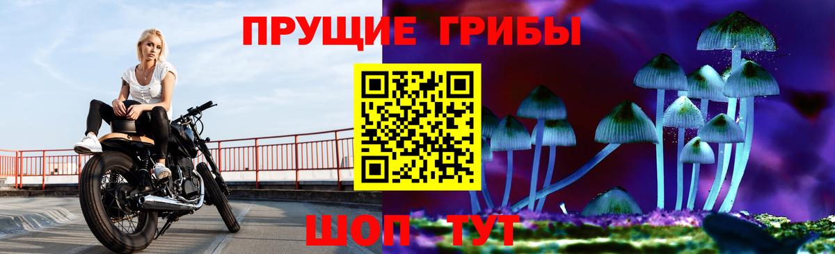 Галлюциногенные грибы мухоморы Новокуйбышевск